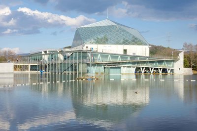 🐠 나카가와 물놀이 공원(나카가와 스이유엔) 이미지 2